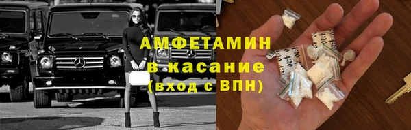 шишки Сатка