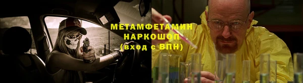 шишки Сатка