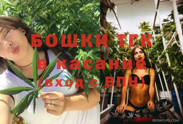 индика Сафоново