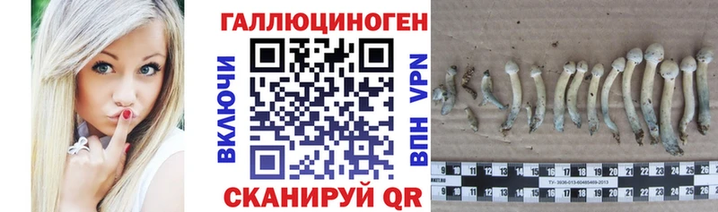 MEGA ссылки  Бородино  Псилоцибиновые грибы Psilocybine cubensis  что такое  